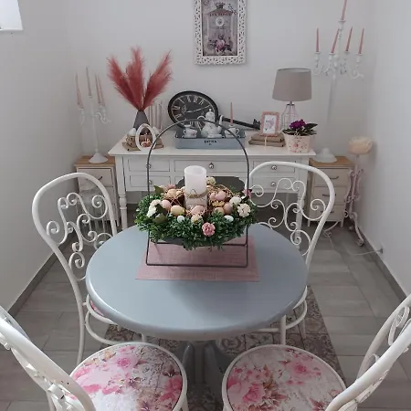 Bed & Breakfast Rose Garden Nyiregyhaza