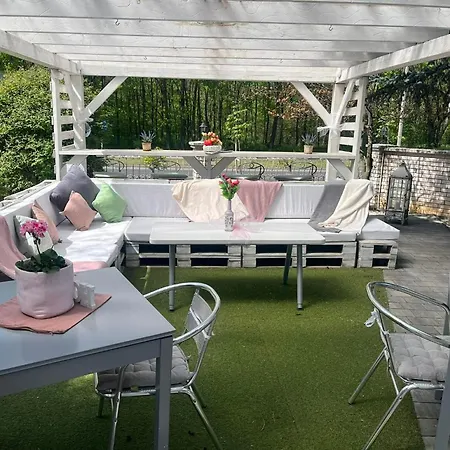 B&B Rose Garden Mestecǎneşti